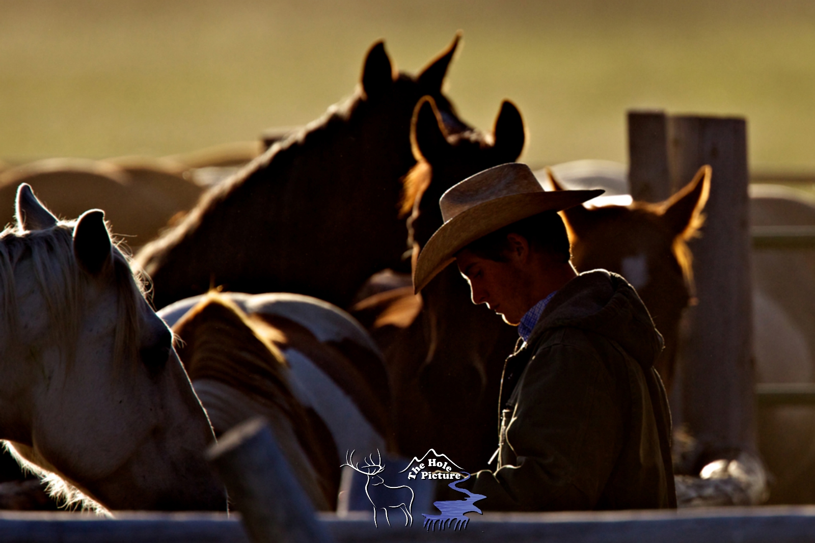 Bicklit Cowboy, Getting Western