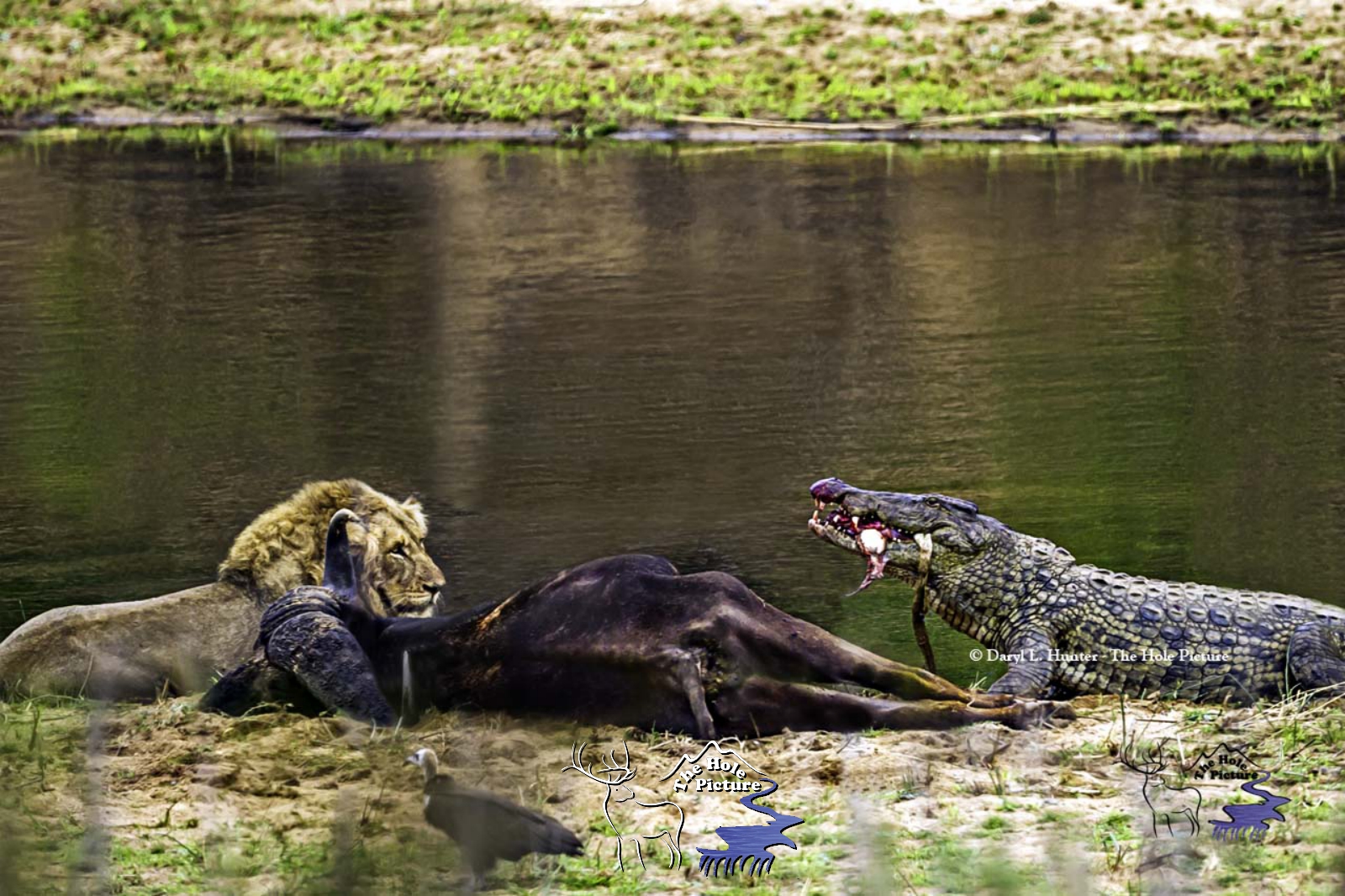 Dinner Time, South Africa